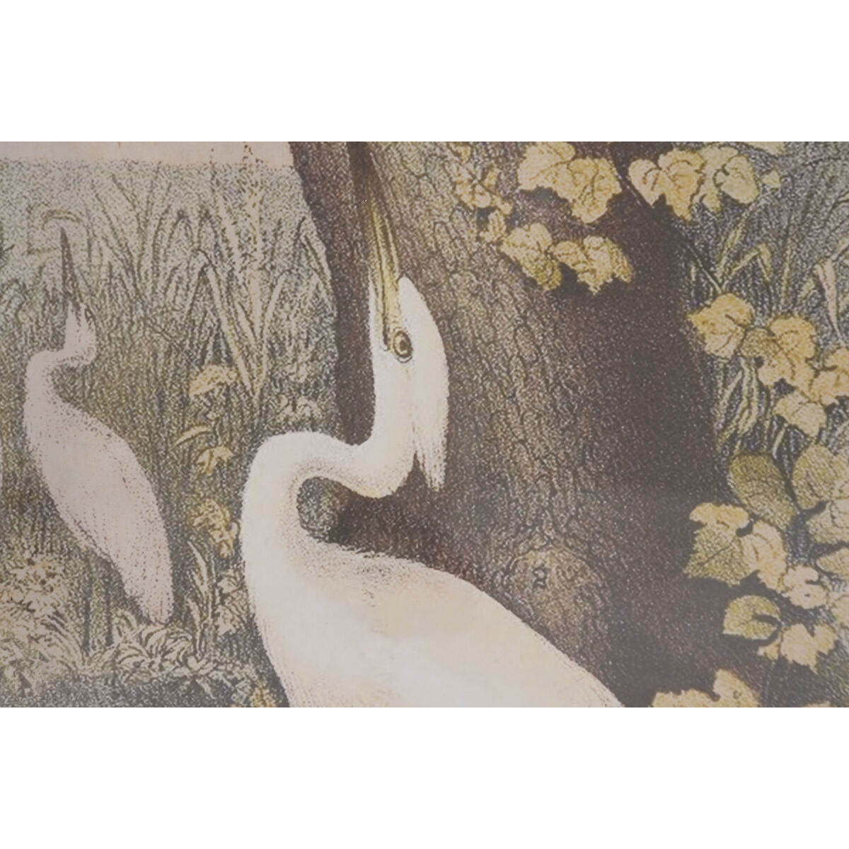 Painting Home ESPRIT White Brown Birds Oriental 40 X 2,5 X 55 cm (6 Units)