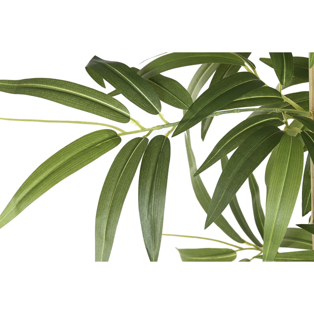 Decorative Plant Home ESPRIT Wood Bamboo Polyethylene Oriental