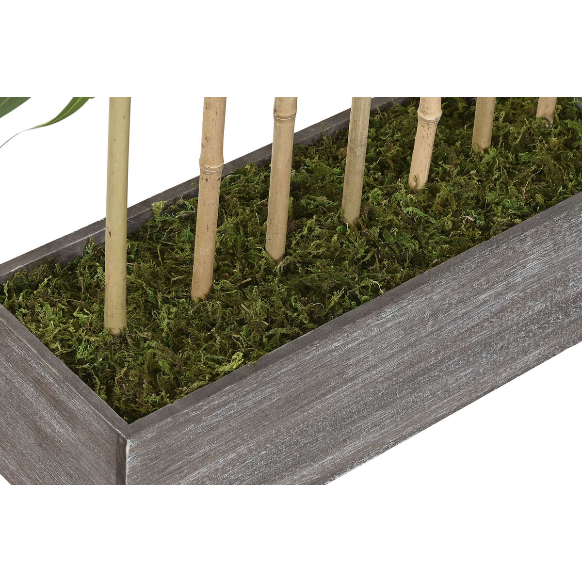 Decorative Plant Home ESPRIT Wood Bamboo Polyethylene Oriental