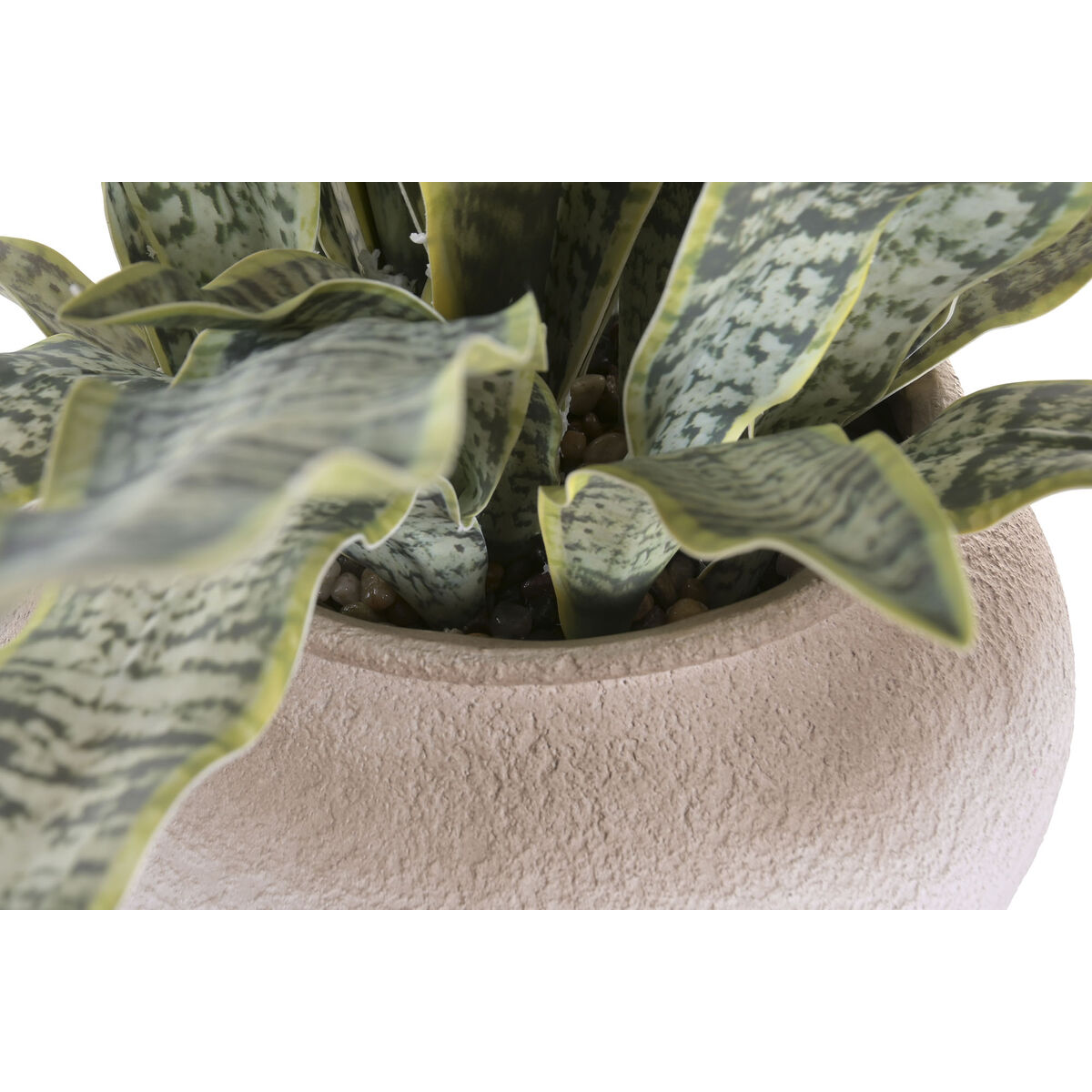 Decorative Plant Home ESPRIT Polyethylene