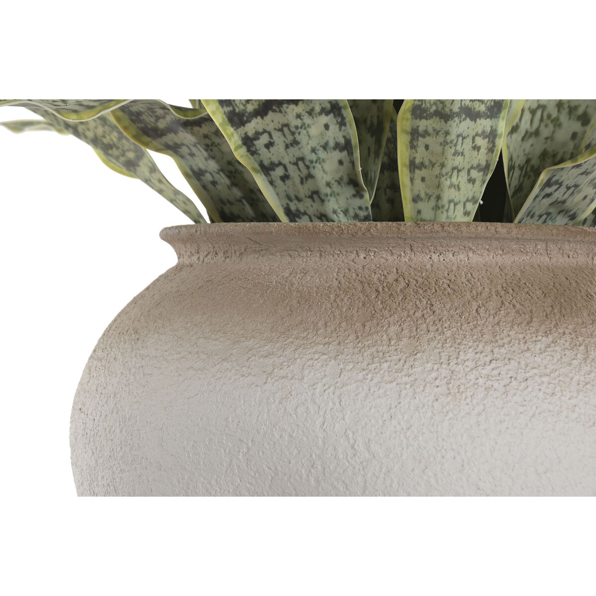 Decorative Plant Home ESPRIT Polyethylene