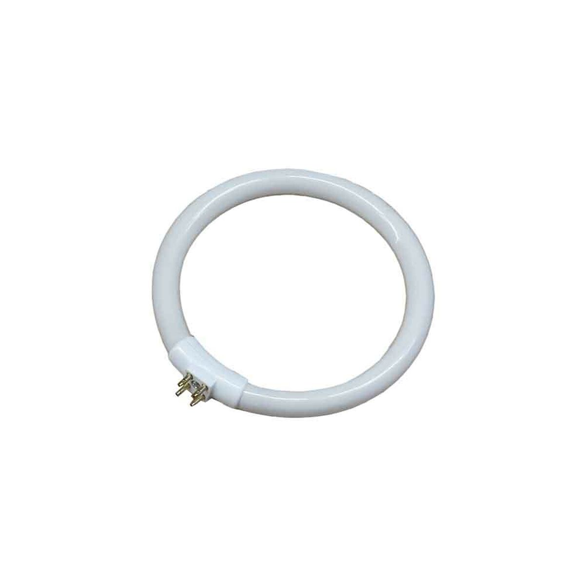 Fluorescent pipe EDM 00301 30287 White 12 W T4 Replacement Circular (6500 K) Fluorescent pipe EDM 00301 30287 White 12 W T4 Replacement Circular (6500 K)
