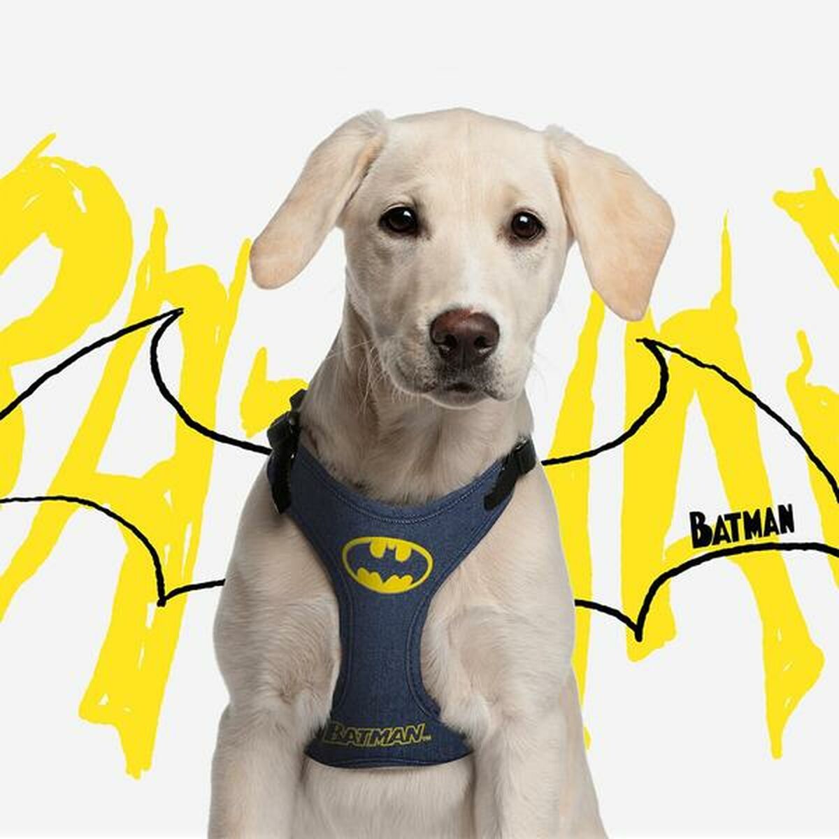 Dog Harness Batman Blue