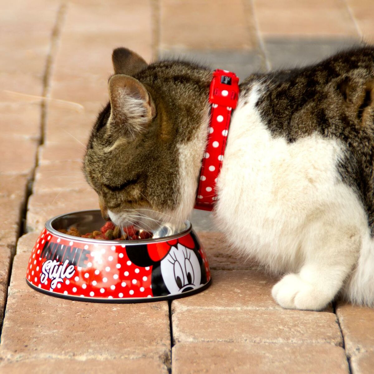 Dog Feeder Minnie Mouse Melamin 410 ml Multicolour