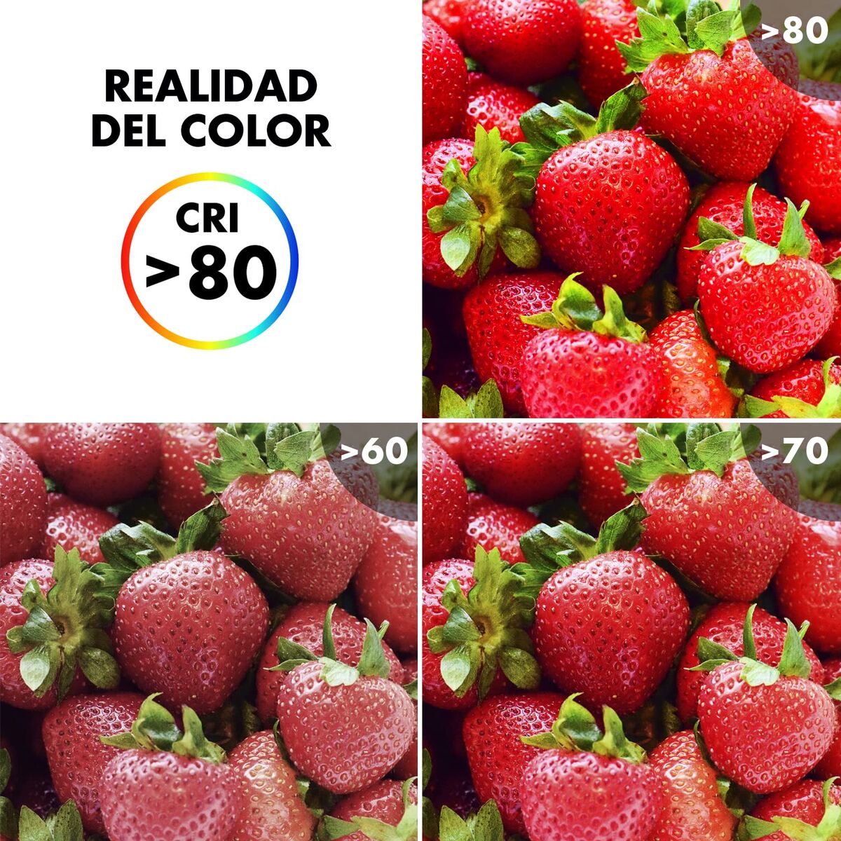 LED lamp Silver Electronics e27 20W 5000k E27