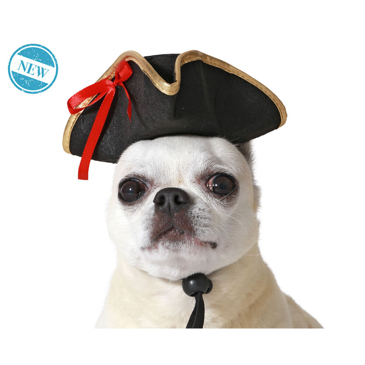 Dog Costume Black Hat