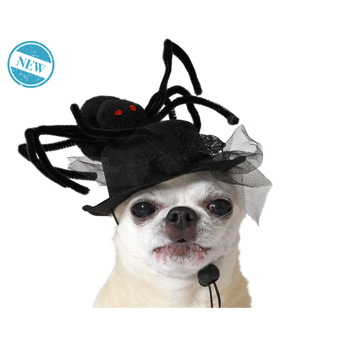 Dog Costume Black Hat