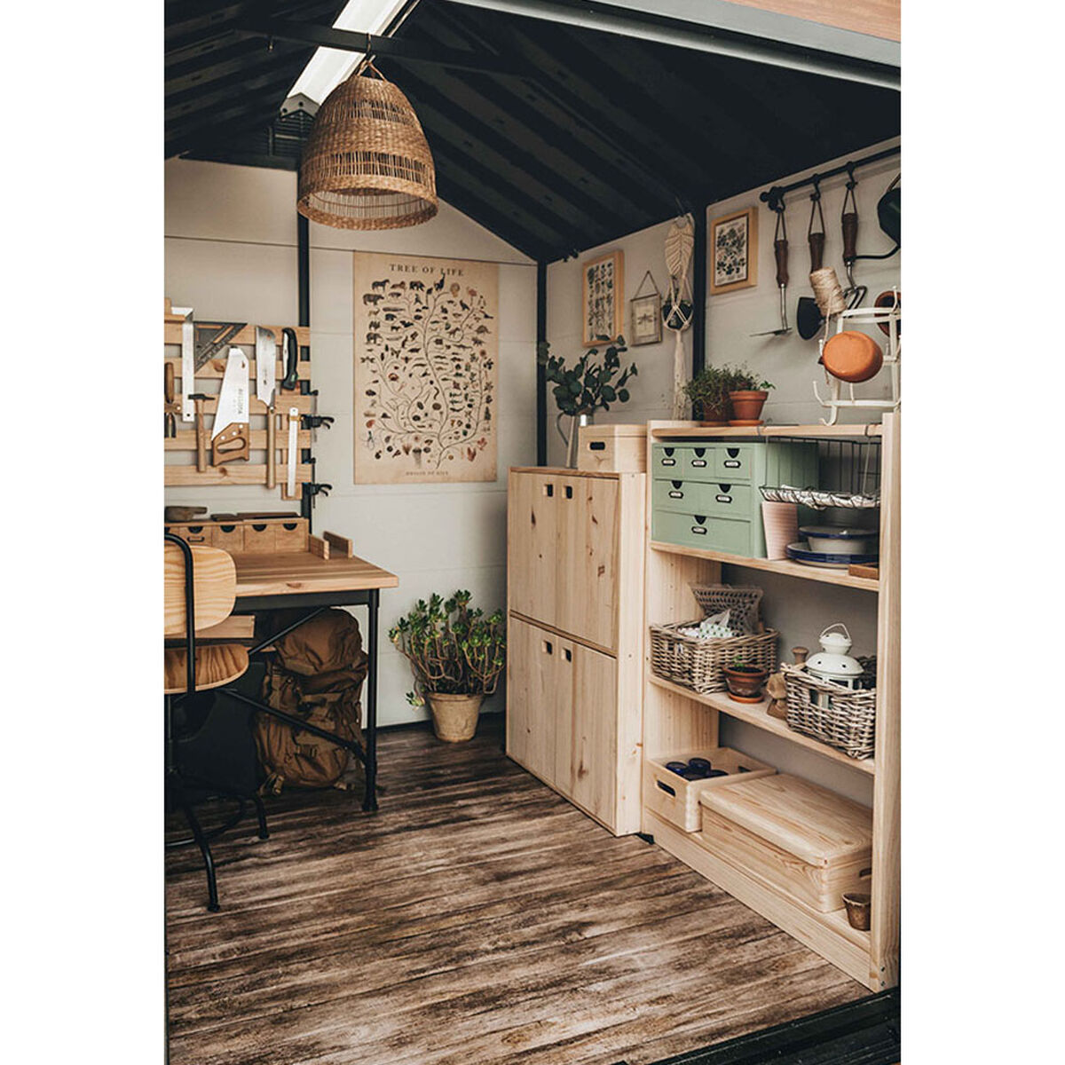 Shelves Astigarraga
