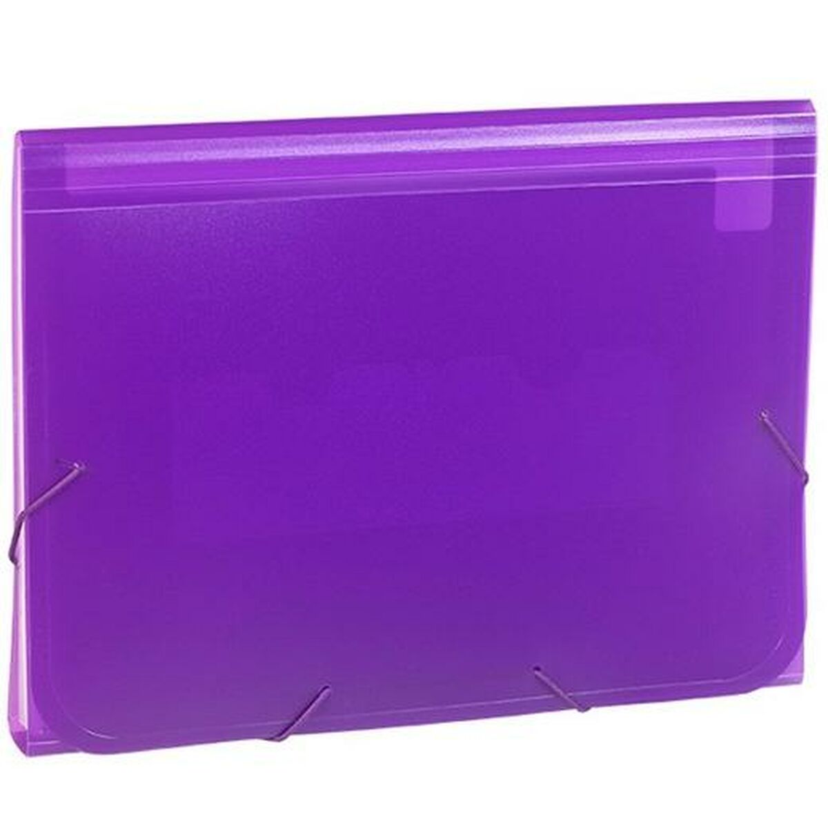 Organiser Folder Carchivo 1913KF56 Violet Din A4 Organiser Folder Carchivo 1913KF56 Violet Din A4
