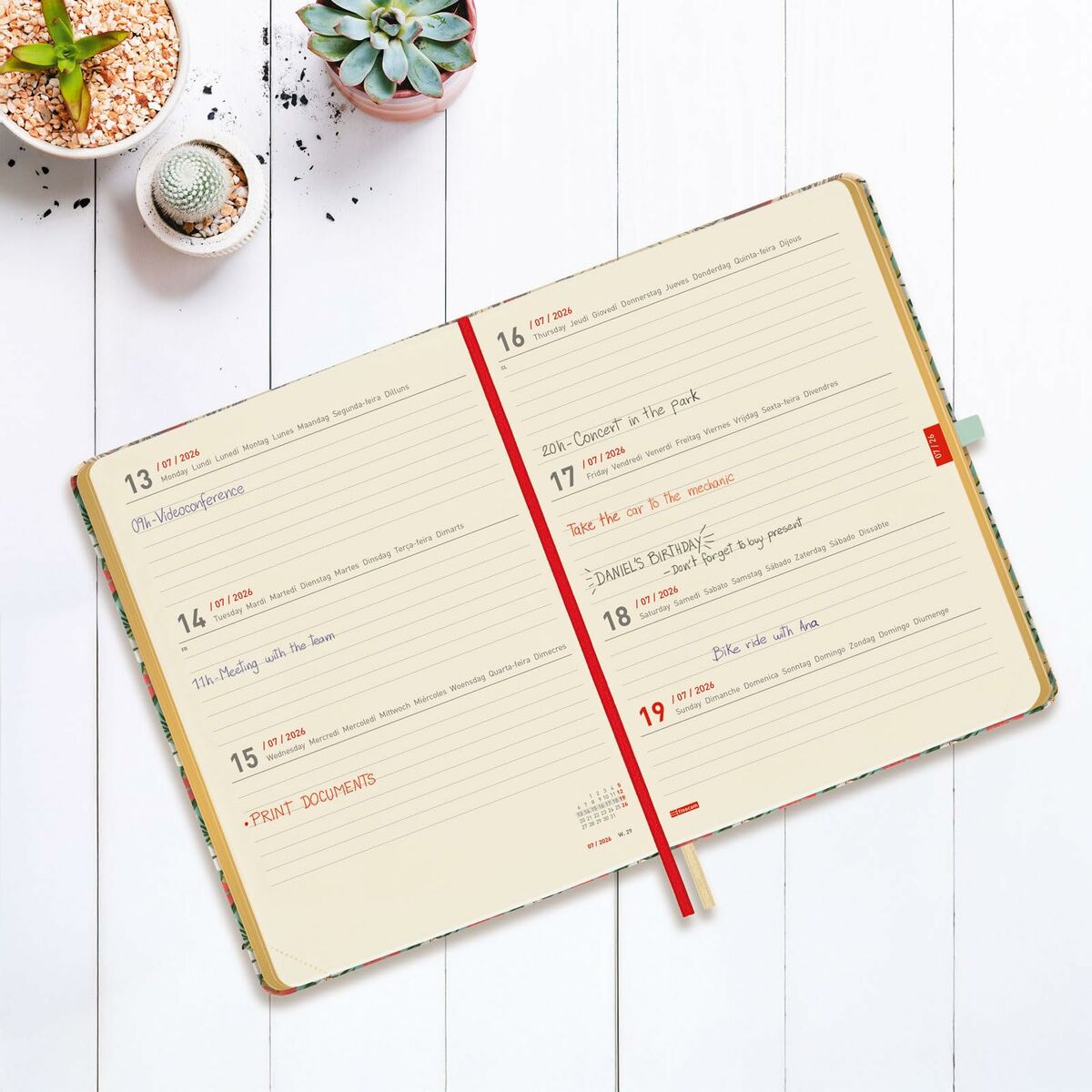 Diary Finocam
