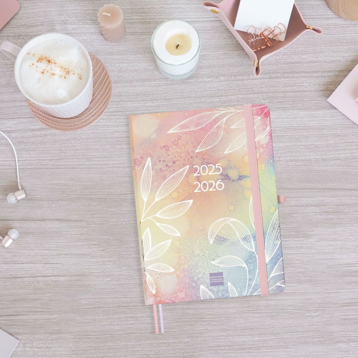 Diary Finocam