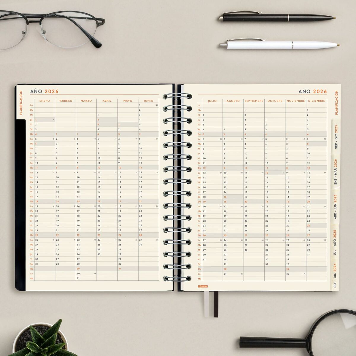Diary Finocam