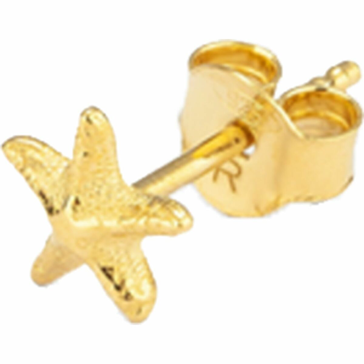 Ladies’ Earrings Radiant RY000141