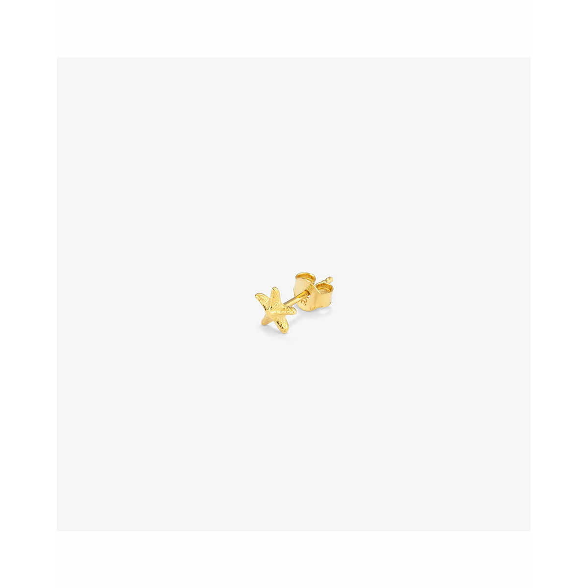 Ladies’ Earrings Radiant RY000141