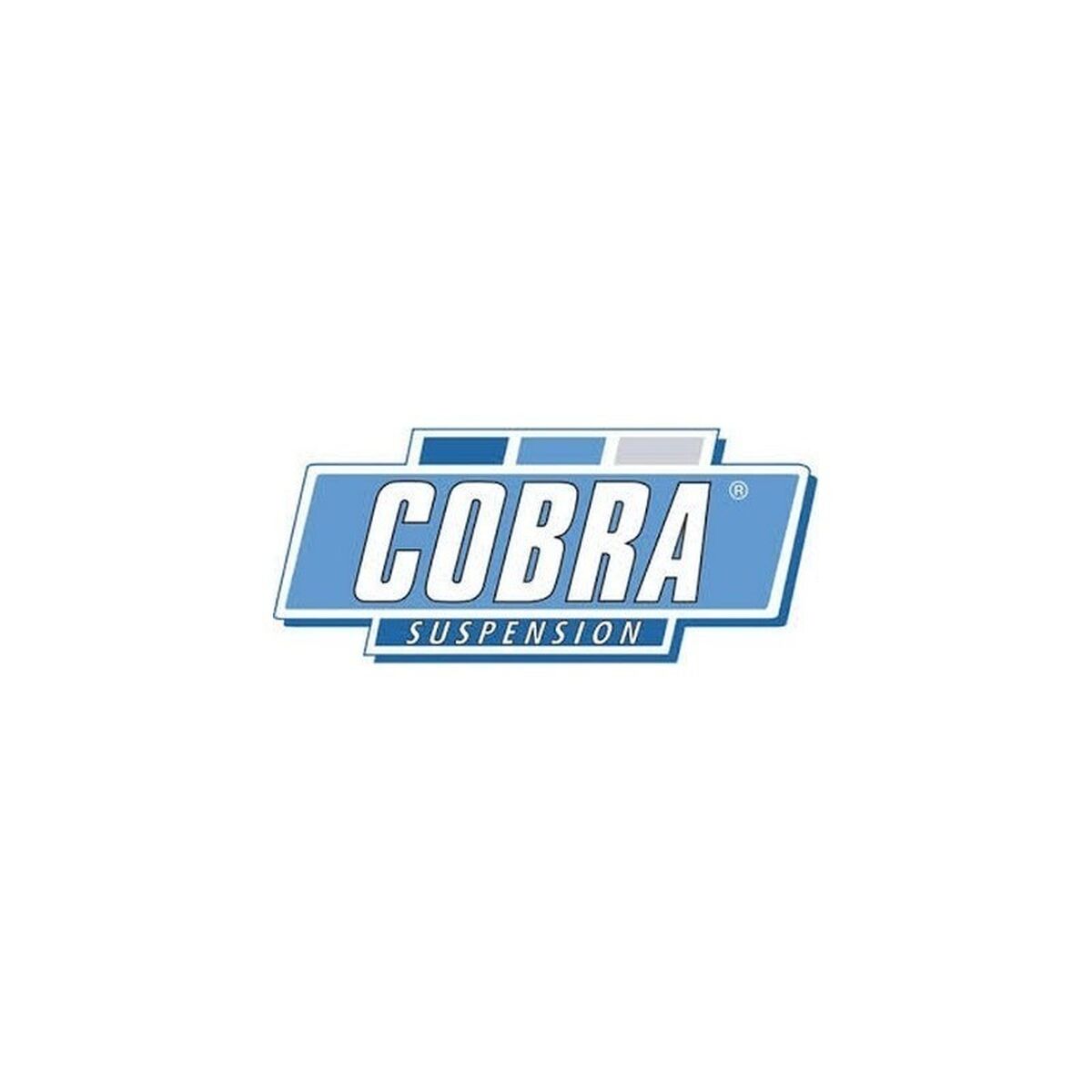 Spring Kit Cobra COB078123