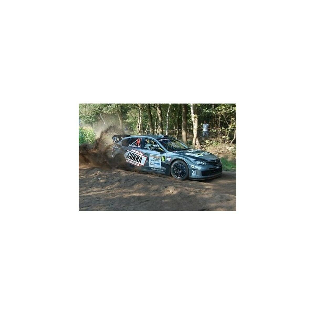 Spring Kit Cobra COB005632