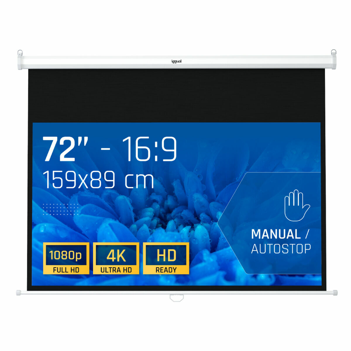 TDT Tuner iggual IGG319673 TDT Tuner iggual IGG319673