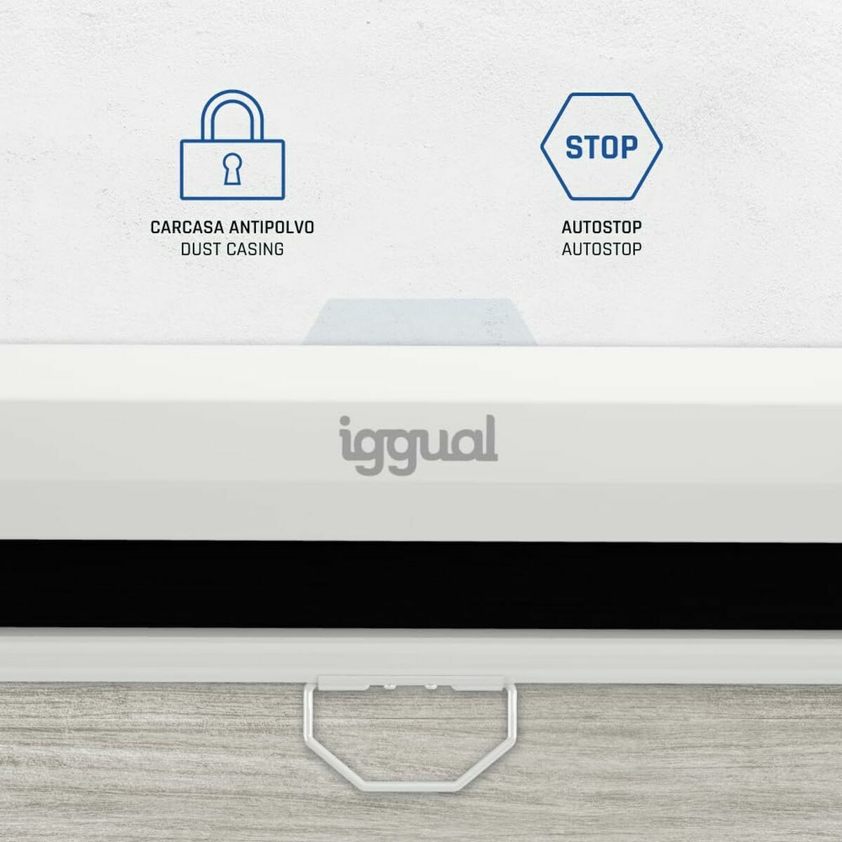 TDT Tuner iggual IGG319673