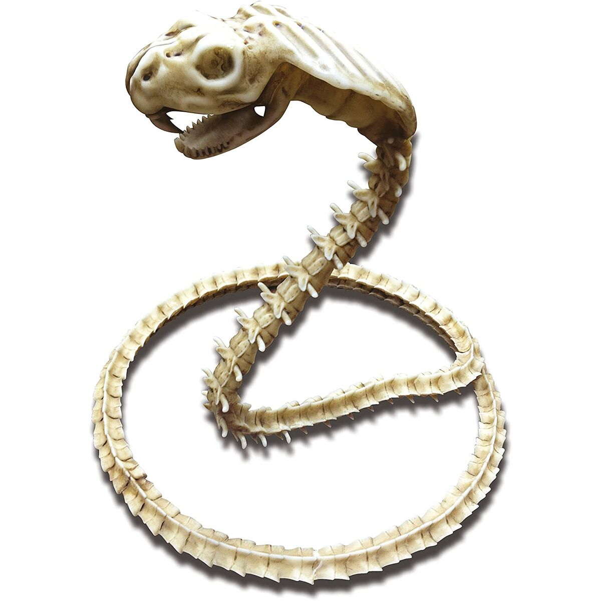 Costune accessorie My Other Me Skeleton Cobra Costune accessorie My Other Me Skeleton Cobra