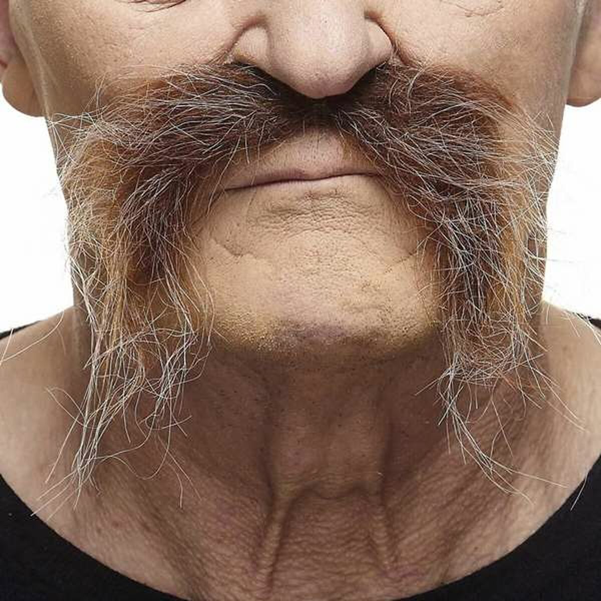 Moustache My Other Me Brown