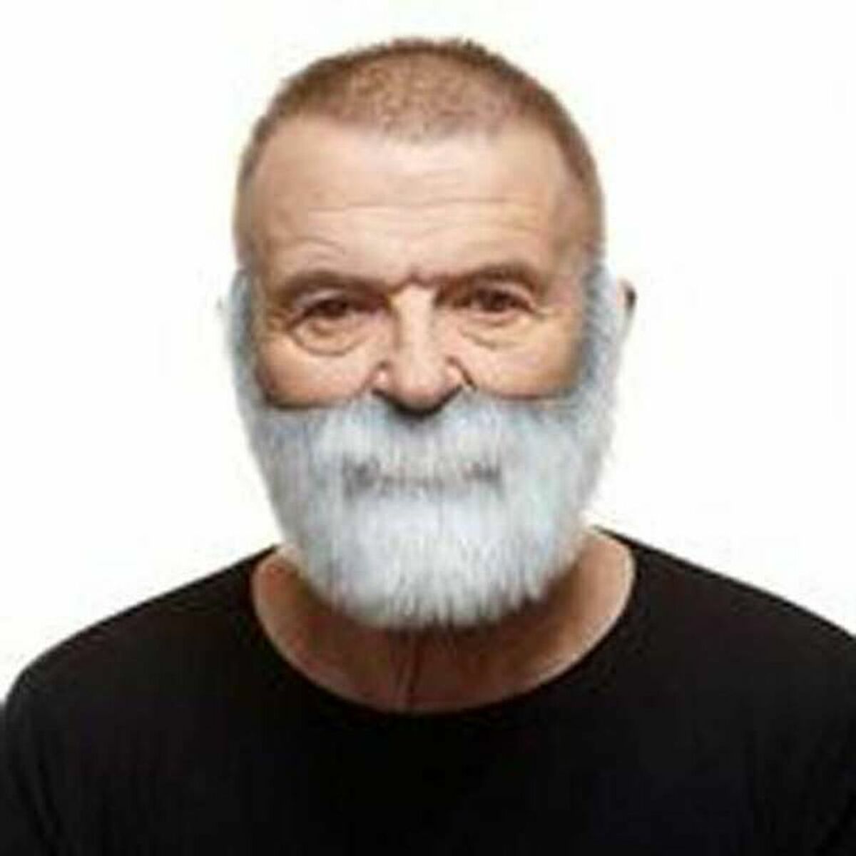 False beard My Other Me Grey False beard My Other Me Grey