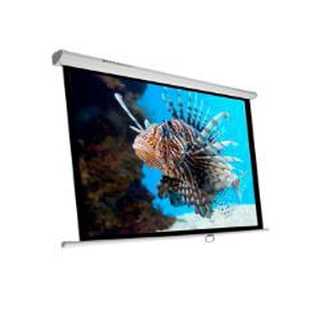 Projection Screen Phoenix PH200 112″