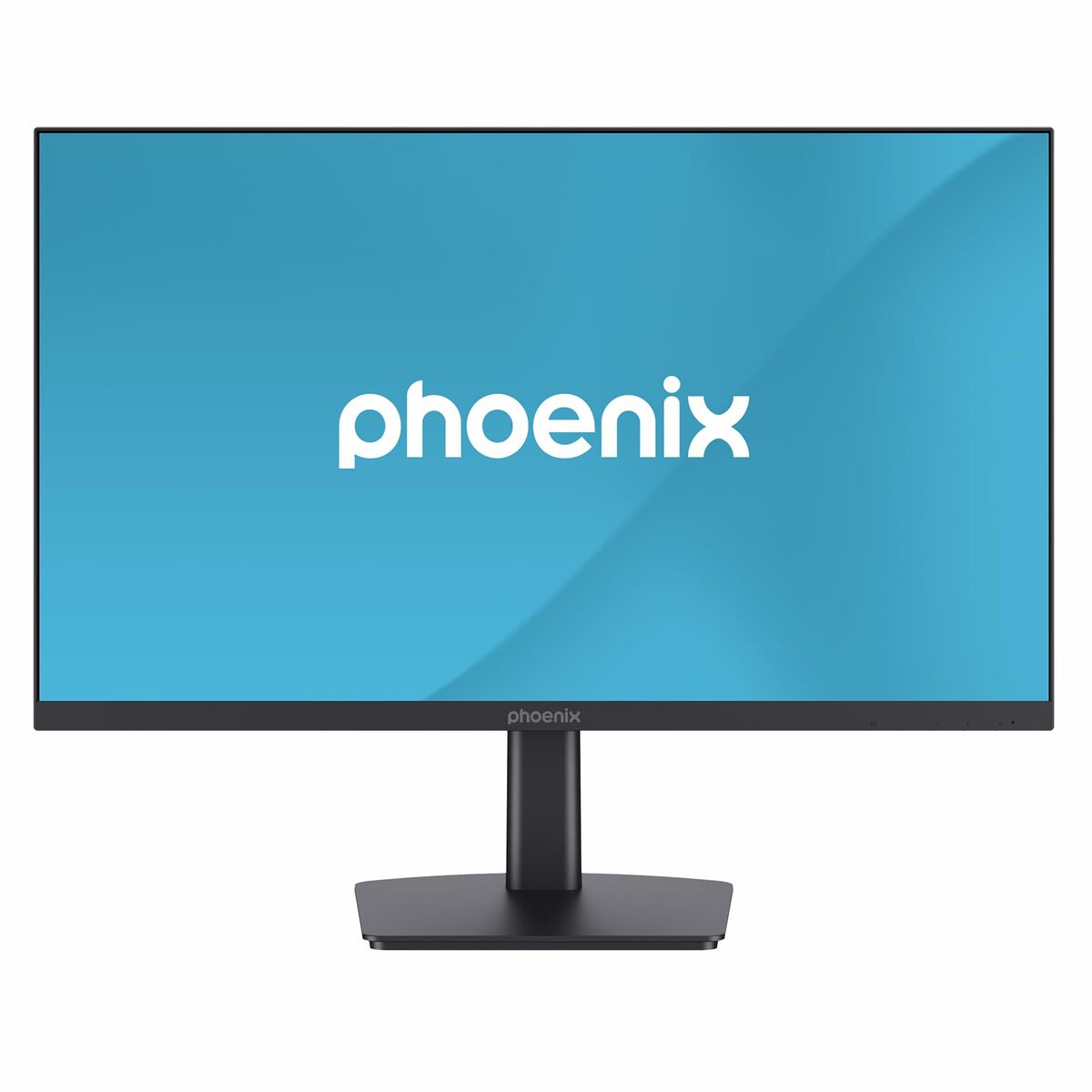 Monitor Phoenix VISION 24″