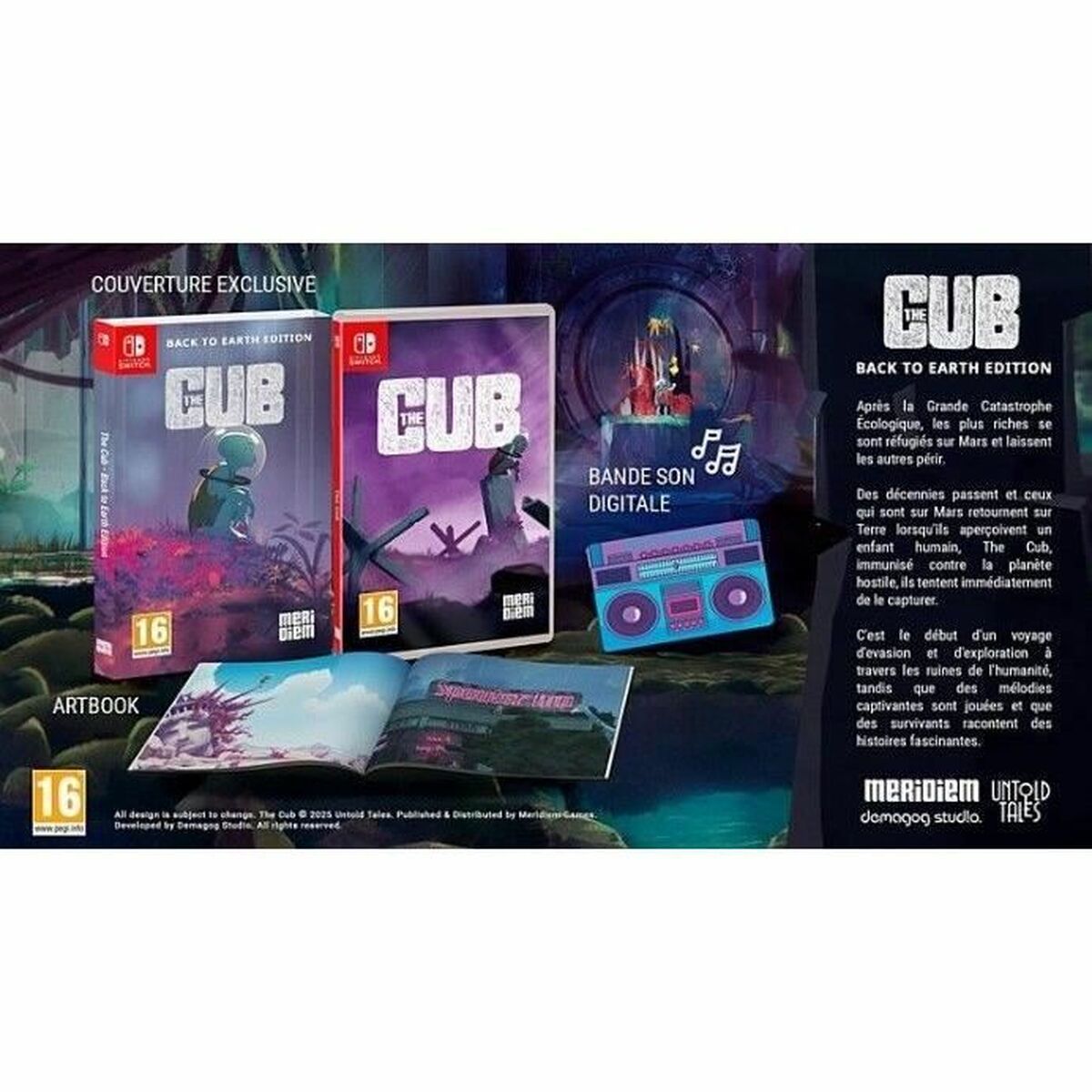 Video game for Switch Microids