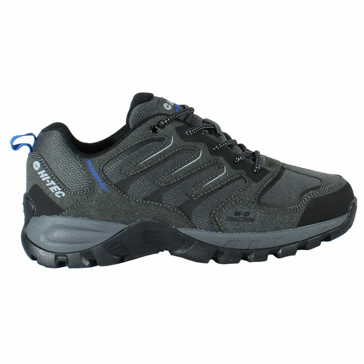 Walking Shoes for Men Hi-Tec Cervus Low WP