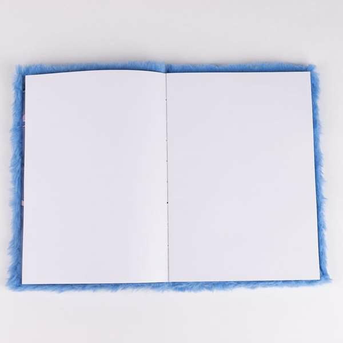 Notebook Stitch