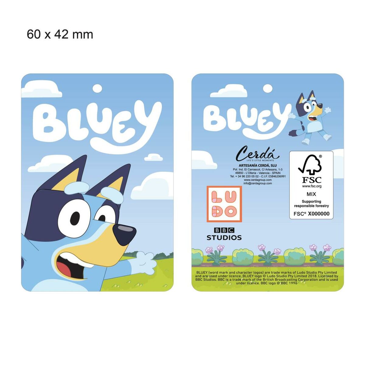 House Slippers Bluey Light Blue