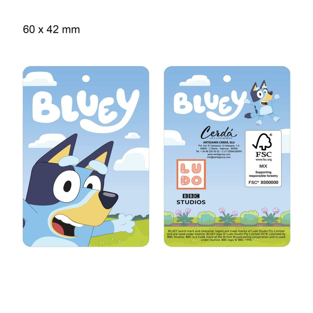 House Slippers Bluey Pink