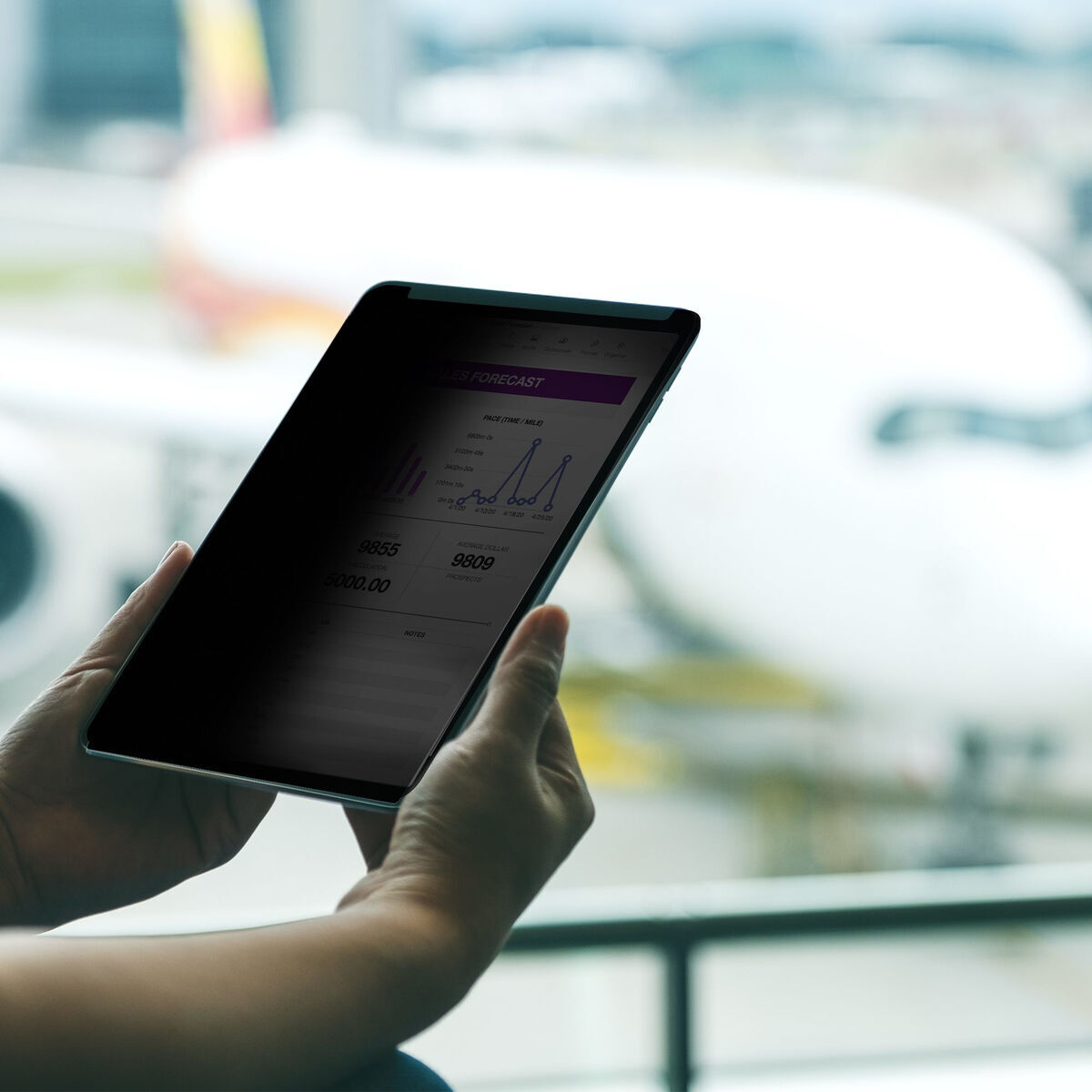 HDMI Cable Startech 129IP-PRIVACY-SCREEN Black