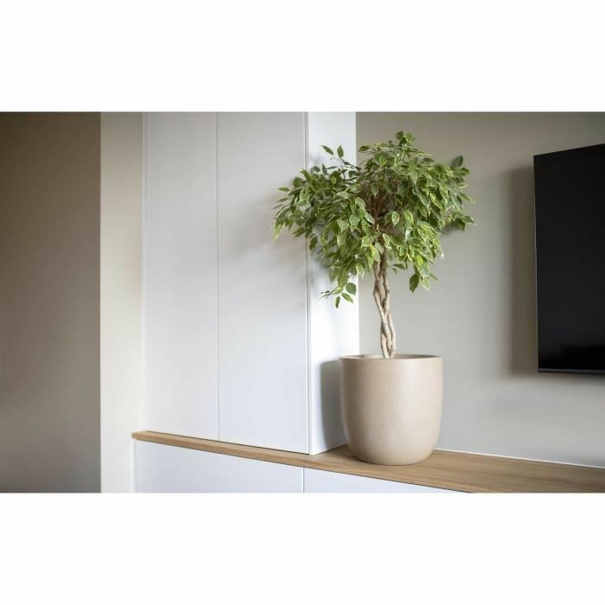 Planter Capi Europe Plastic  35 cm 35 x 35 x 34 cm
