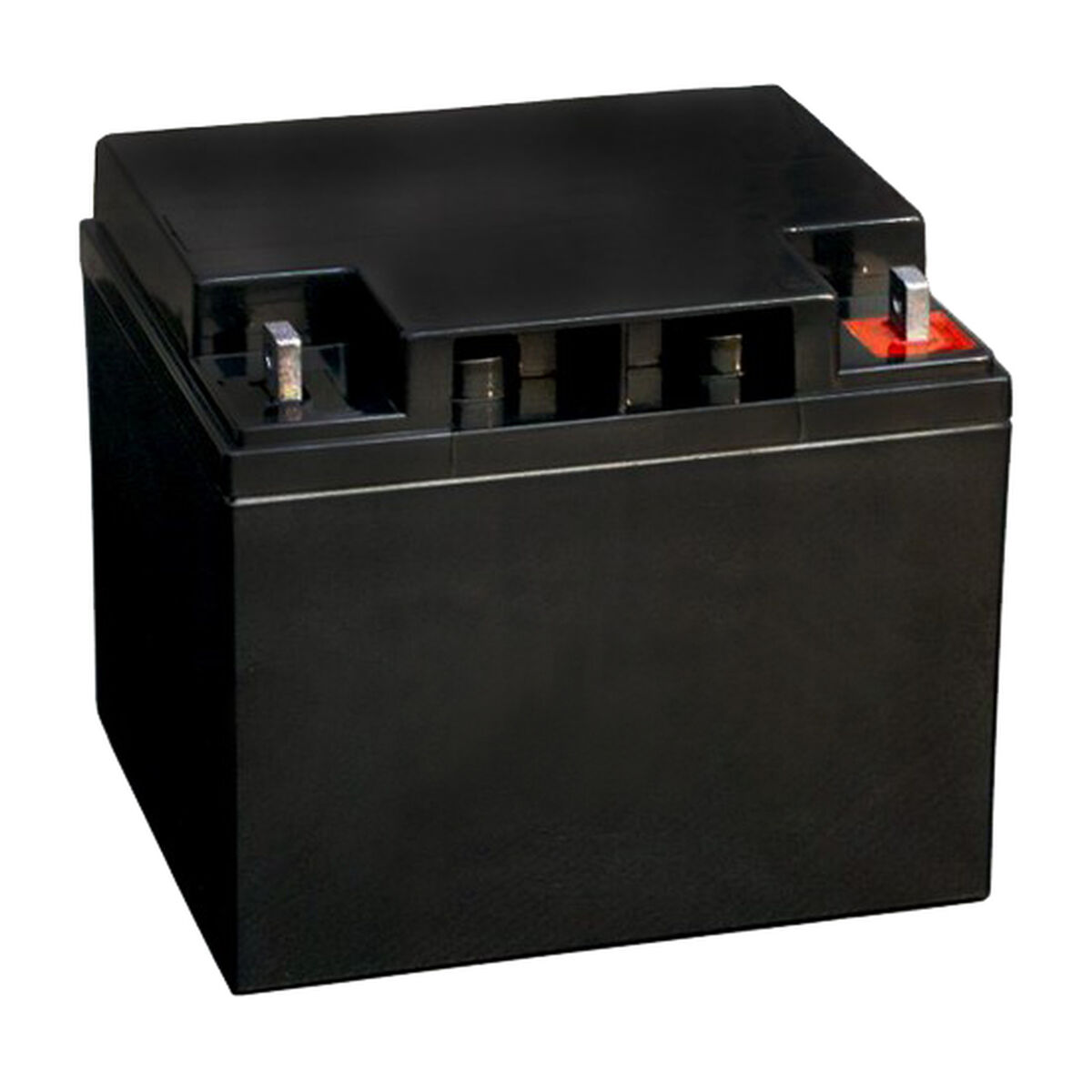 Alarm System BOSCH IPS-BAT12V-45AH