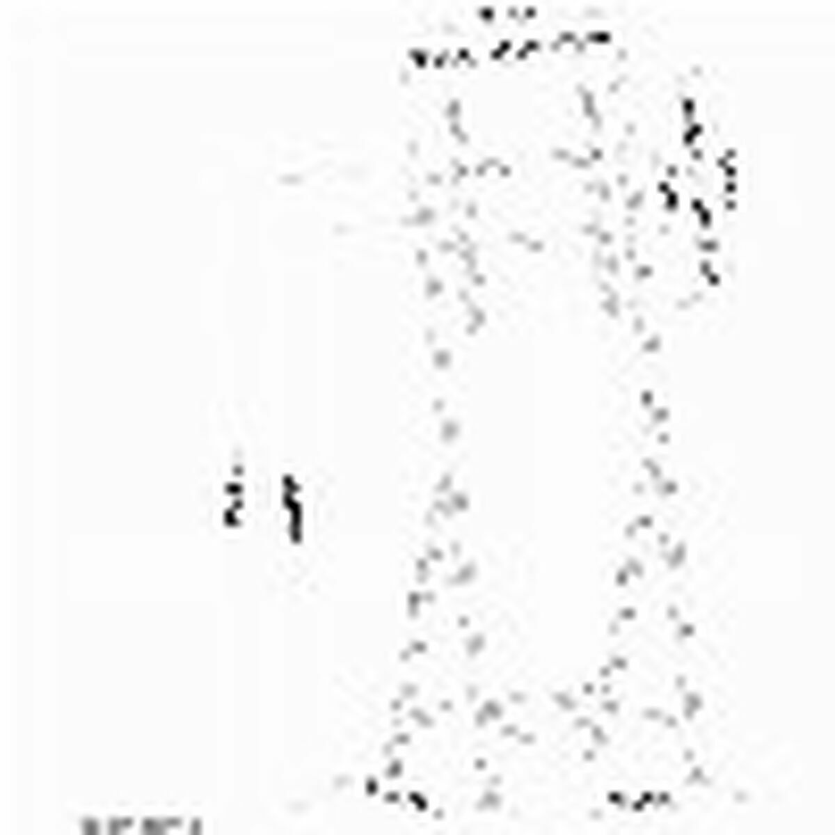 TV Mount Neomounts PLASMA-M1000 32″ 55″ 35 kg