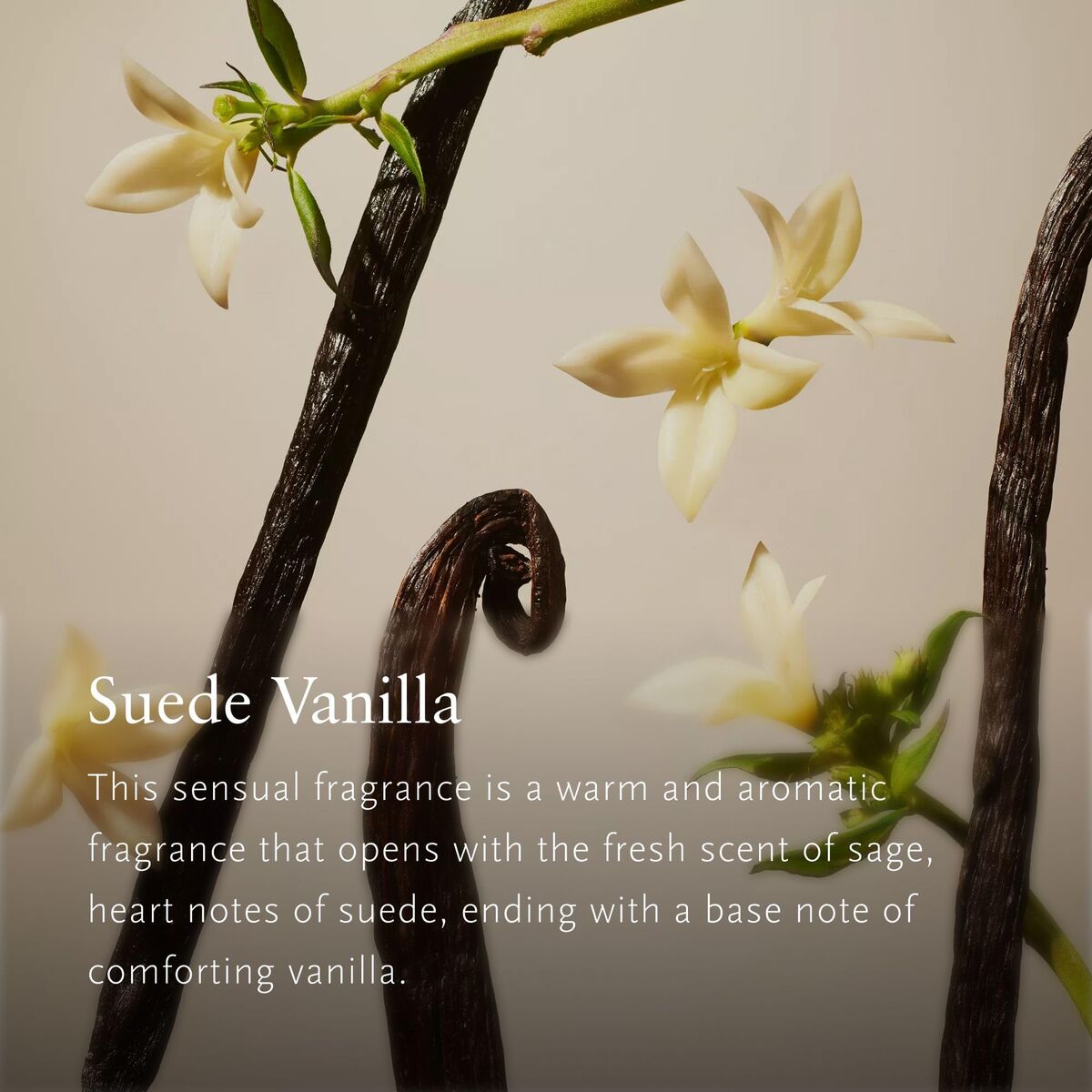 Gift Set Rituals Rituals Private Suede Vanilla 3 Pieces