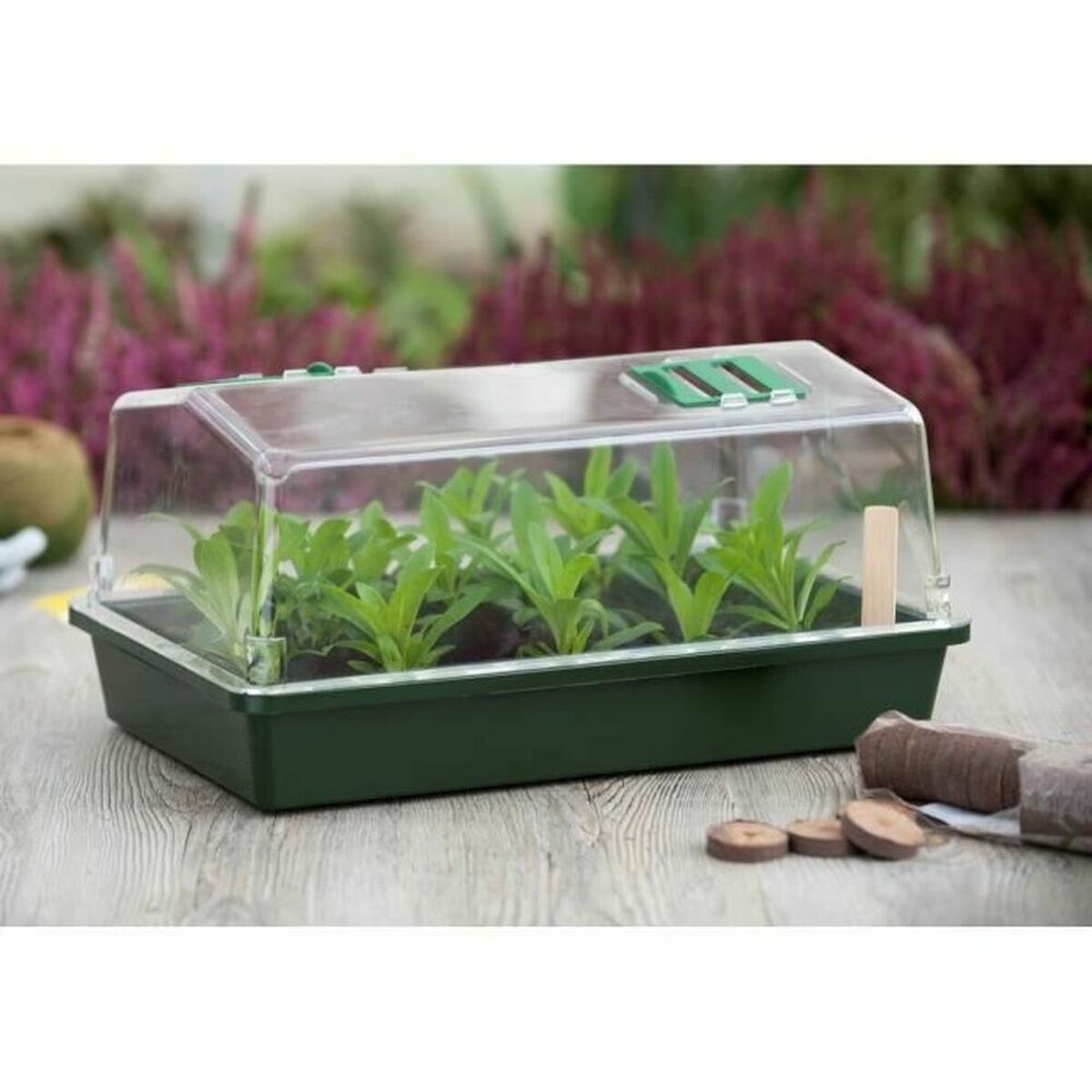 Seed tray Nature Cultivation Set Seed tray Nature Cultivation Set