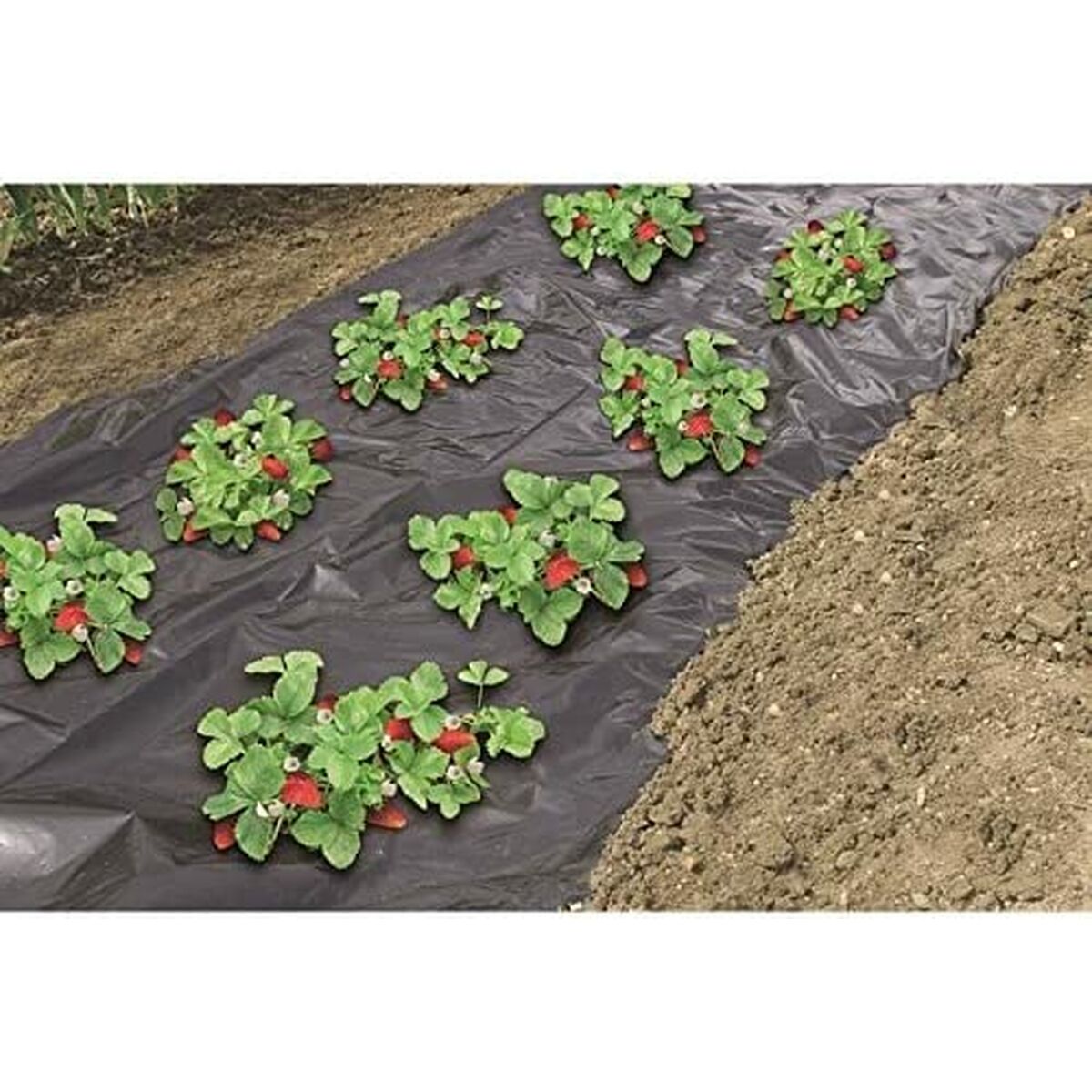 Weed control mesh Nature Weed control mesh Nature