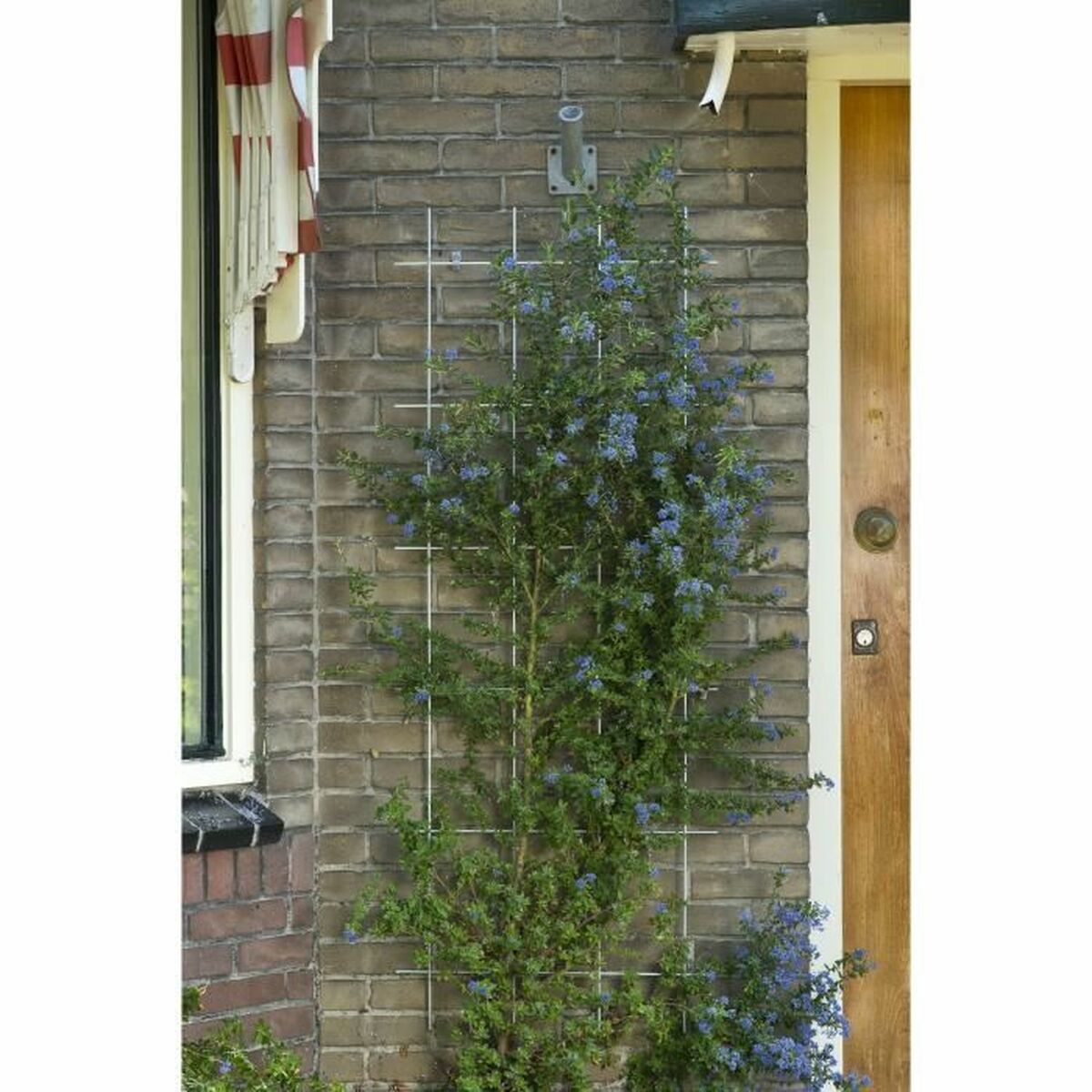 Garden Fence Nature Green Galvanised Steel 42,5 x 145 cm