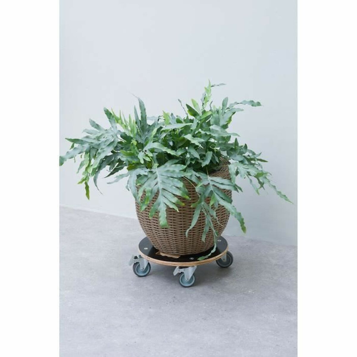 Flowerpot Standt with Wheels Nature Wood  38 cm
