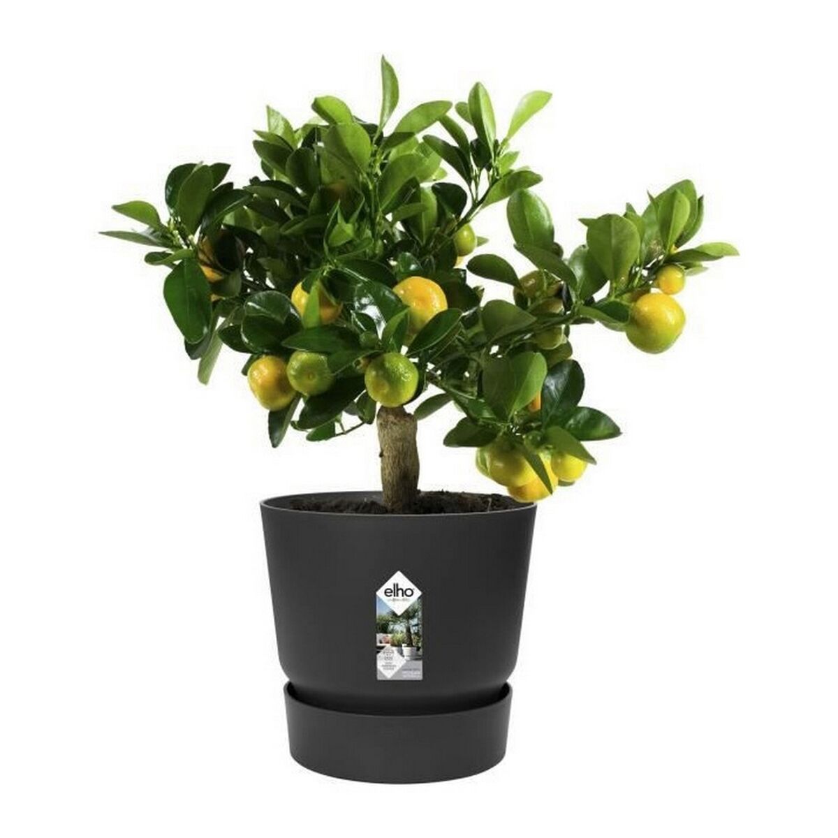 Plant pot Elho Greenville Black Plastic Circular  30 cm  29,5 x 27,8 cm
