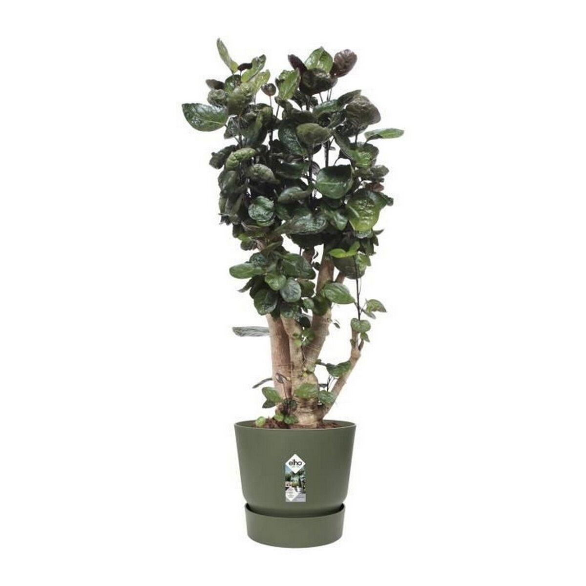 Plant pot Elho Greenville  39 x 36,8 cm Green