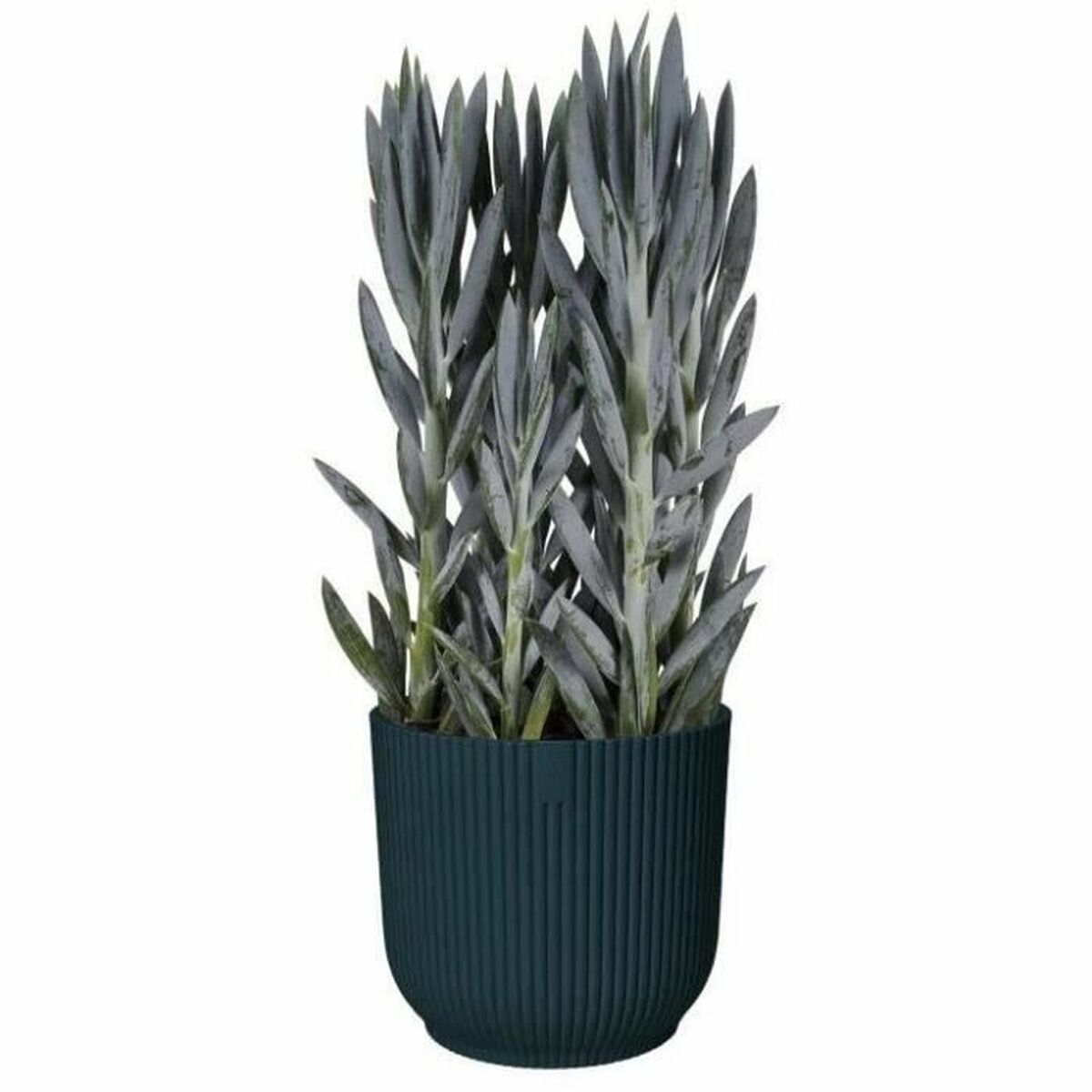 Plant pot Elho   Plastic Circular  28,5 cm