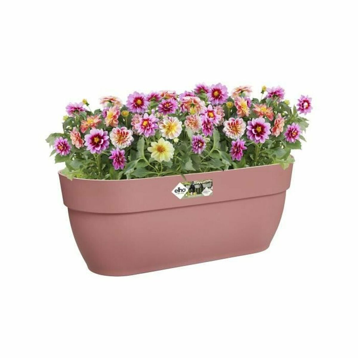 Hanging Planter Elho Pink Hanging Planter Elho Pink