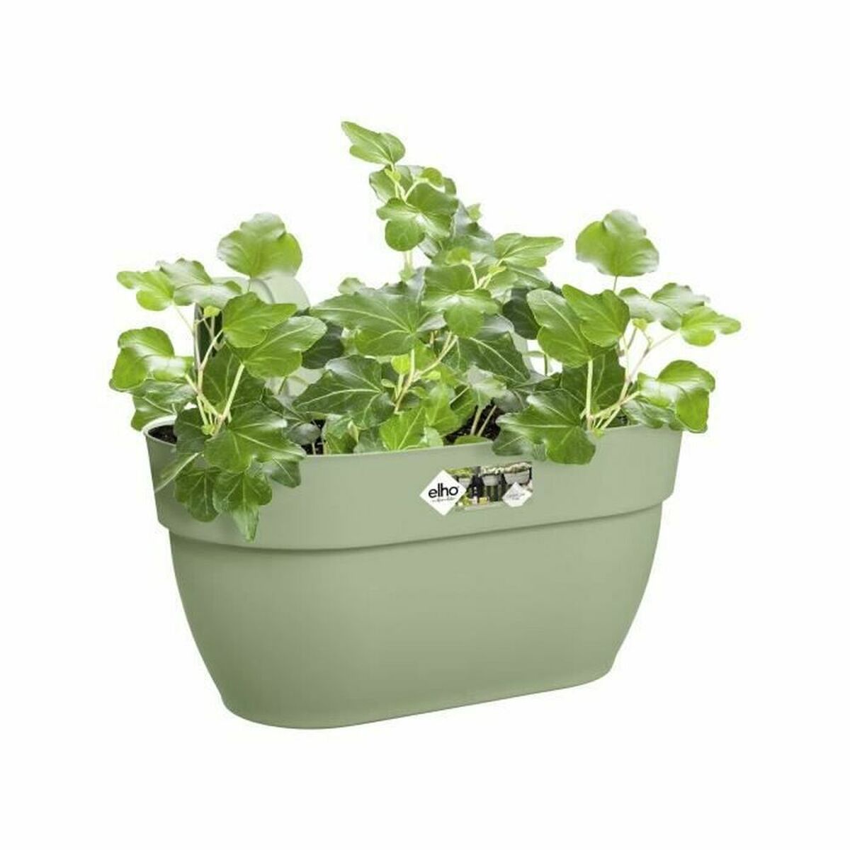 Plant pot Elho Vibia Campana Easy Hanger Medium 24,1 x 36 x 26,5 cm Green Plant pot Elho Vibia Campana Easy Hanger Medium 24,1 x 36 x 26,5 cm Green