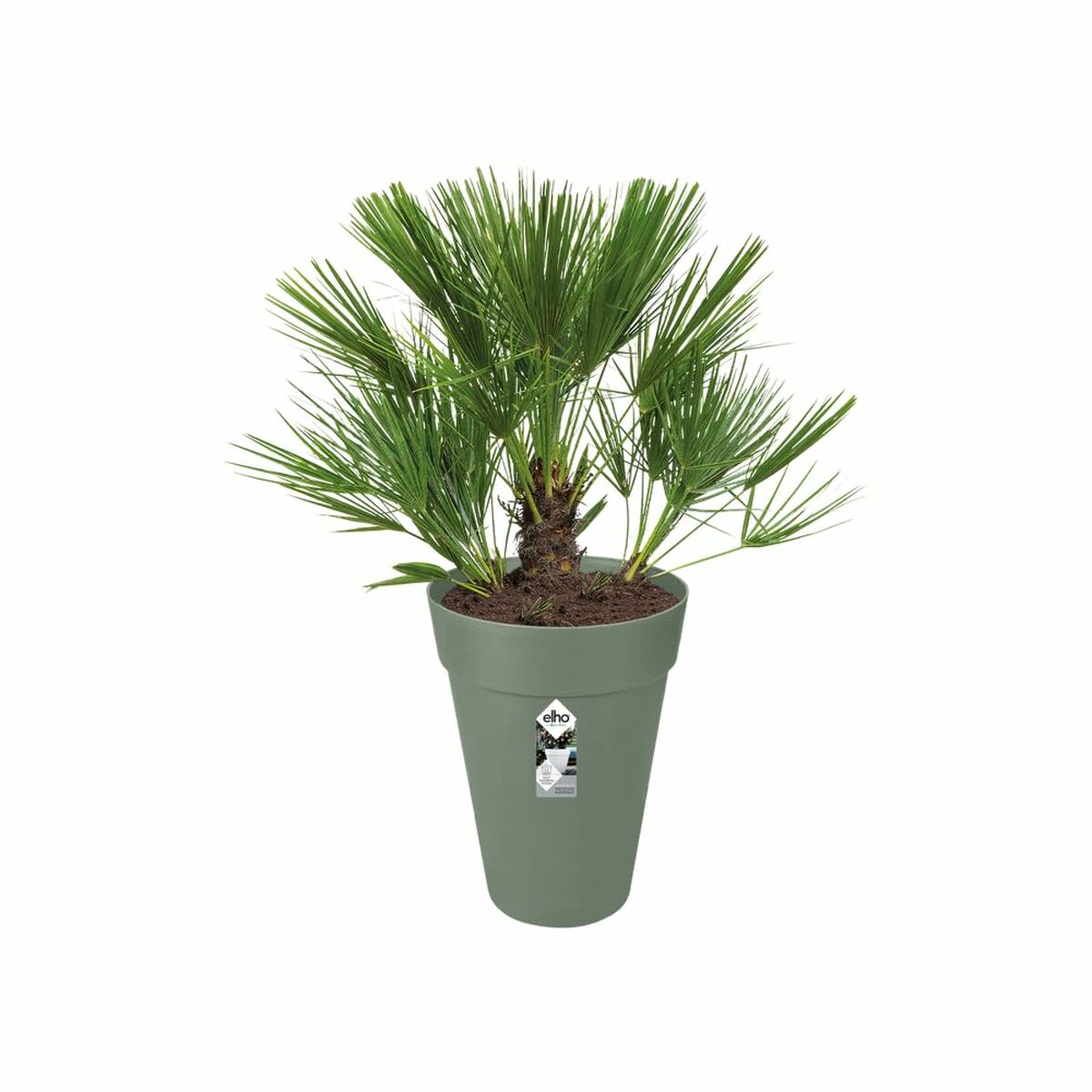 Plant pot Elho Green Ø 34 cm Plastic Circular Modern Plant pot Elho Green Ø 34 cm Plastic Circular Modern