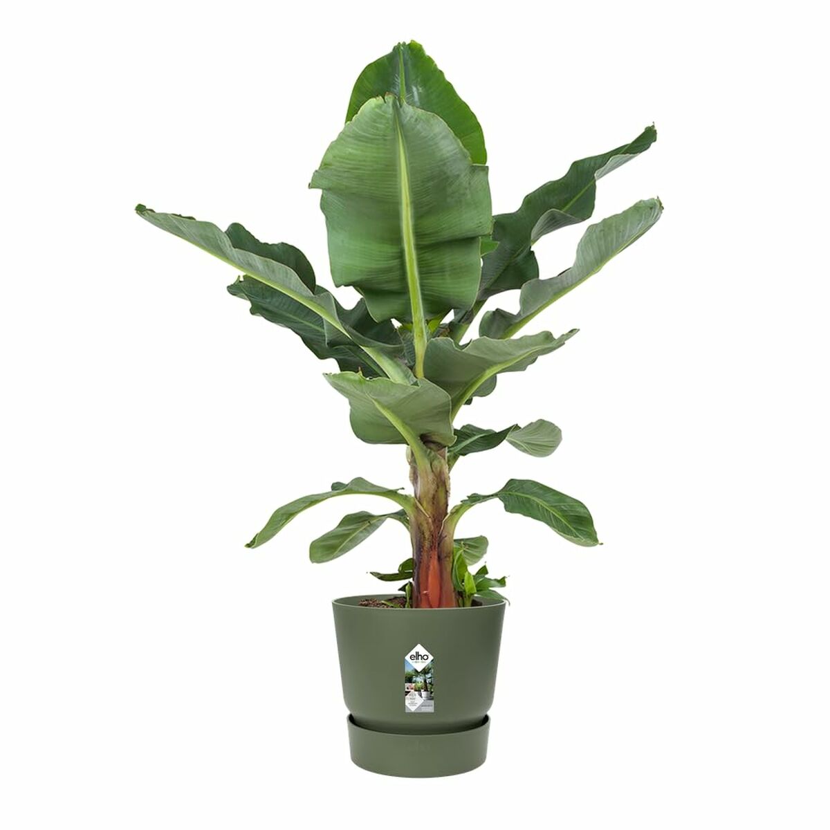 Plant pot Elho Green  55 cm Plastic