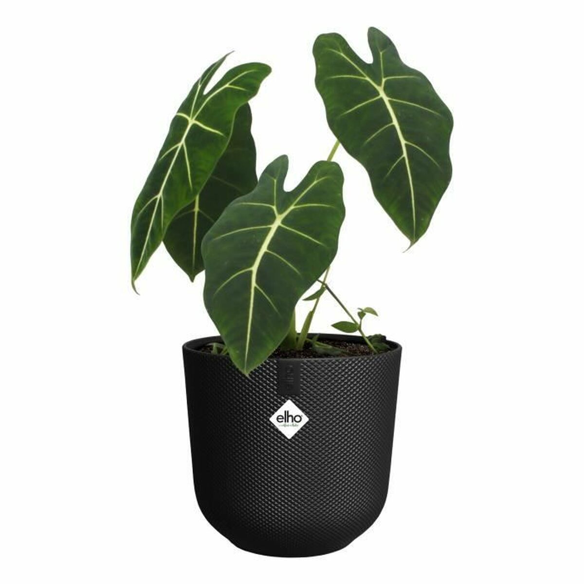 Plant pot Elho