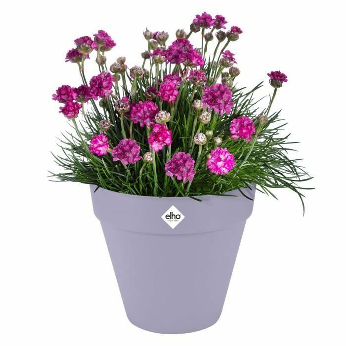 Plant pot Elho